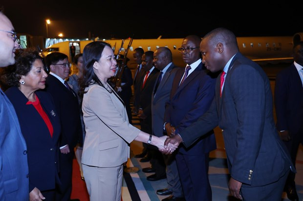 Vice President begins official visit to Mozambique hinh anh 1