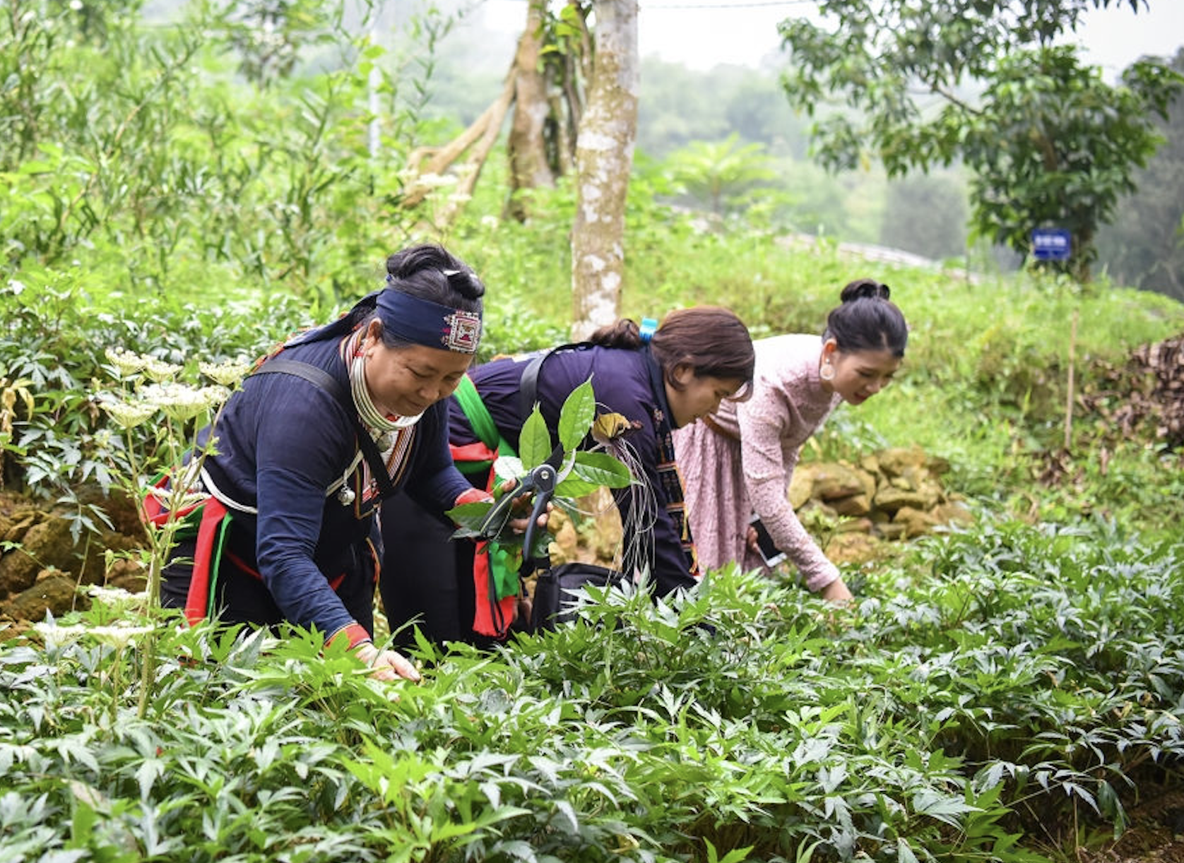 100% xã vùng đồng bào DTTS trên địa bàn Hà Nội đạt chuẩn Nông thôn mới