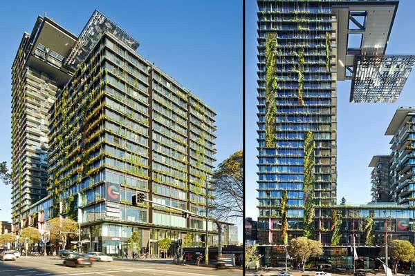 Choáng với chính sách tặng cây cho dân của Sydney