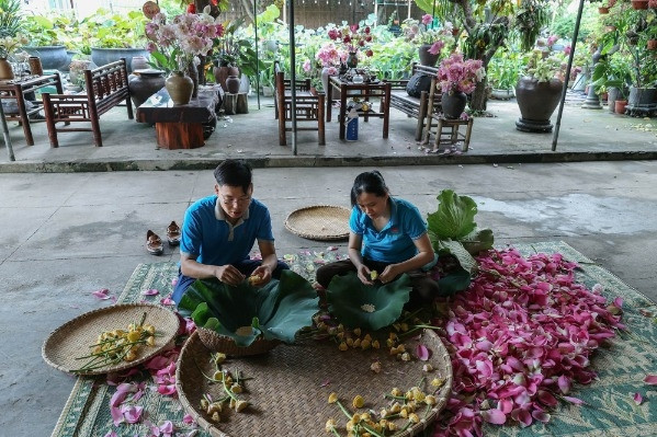 Kim Liên: Hợp tác xã Sen có 11 sản phẩm đạt OCOP