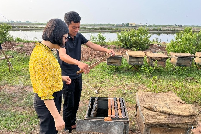 Tạo thêm việc làm từ nghề nuôi ong lấy mật dưới tán rừng