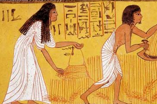 Kỳ lạ cách thử thai của người cổ đại: Đi tiểu lên hạt lúa, ôm hành tây ngủ
