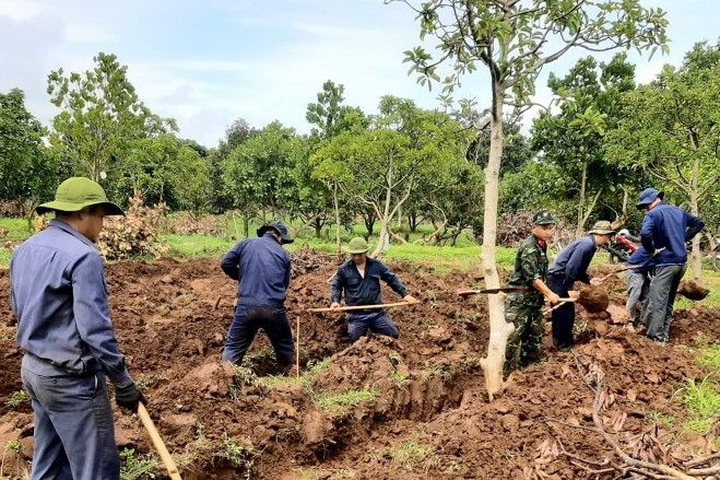 Sử dụng phần mềm quản lý dữ liệu bản đồ tìm kiếm quy tập hài cốt liệt sĩ