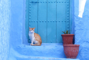 Thành phố đỏ vỡ vụn, Maroc còn có Chefchaouen - viên ngọc xanh đẹp nhất châu Phi