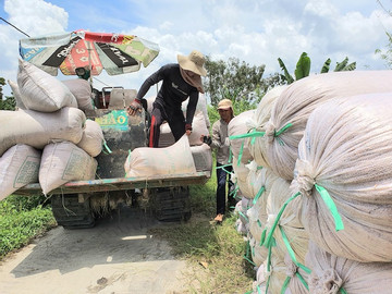 Vietnam secures bid to export 50,000 tons of rice to Indonesia