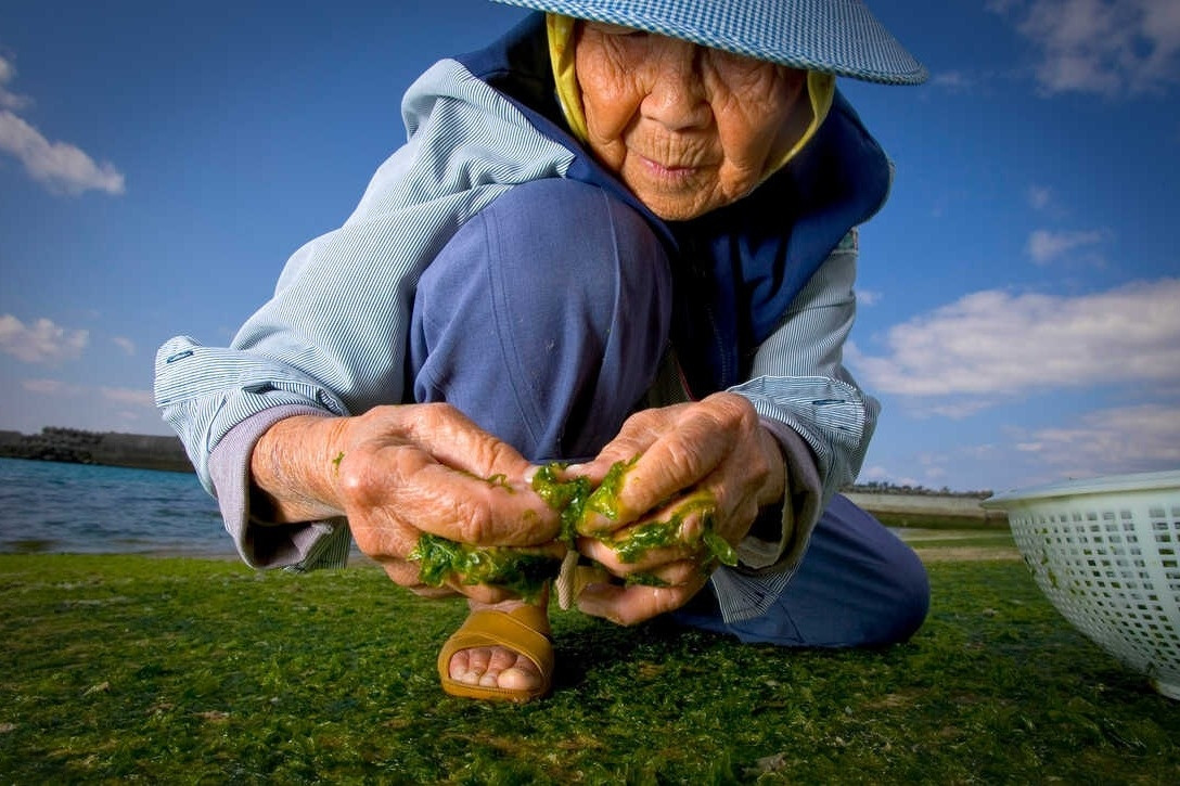 Bí quyết sống thọ của các cư dân ‘Blue Zones’