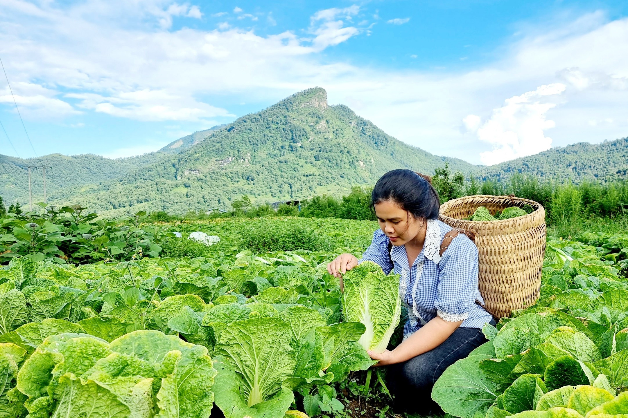 Cô gái 9X giúp tiêu thụ nông sản bằng công nghệ số, lan tỏa nông dân số