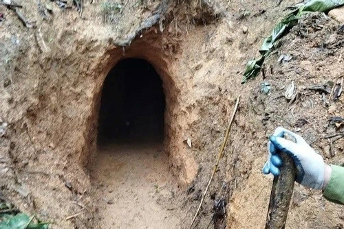 Phát hiện hầm khai thác vàng trái phép trong rừng đặc dụng ở Thanh Hóa
