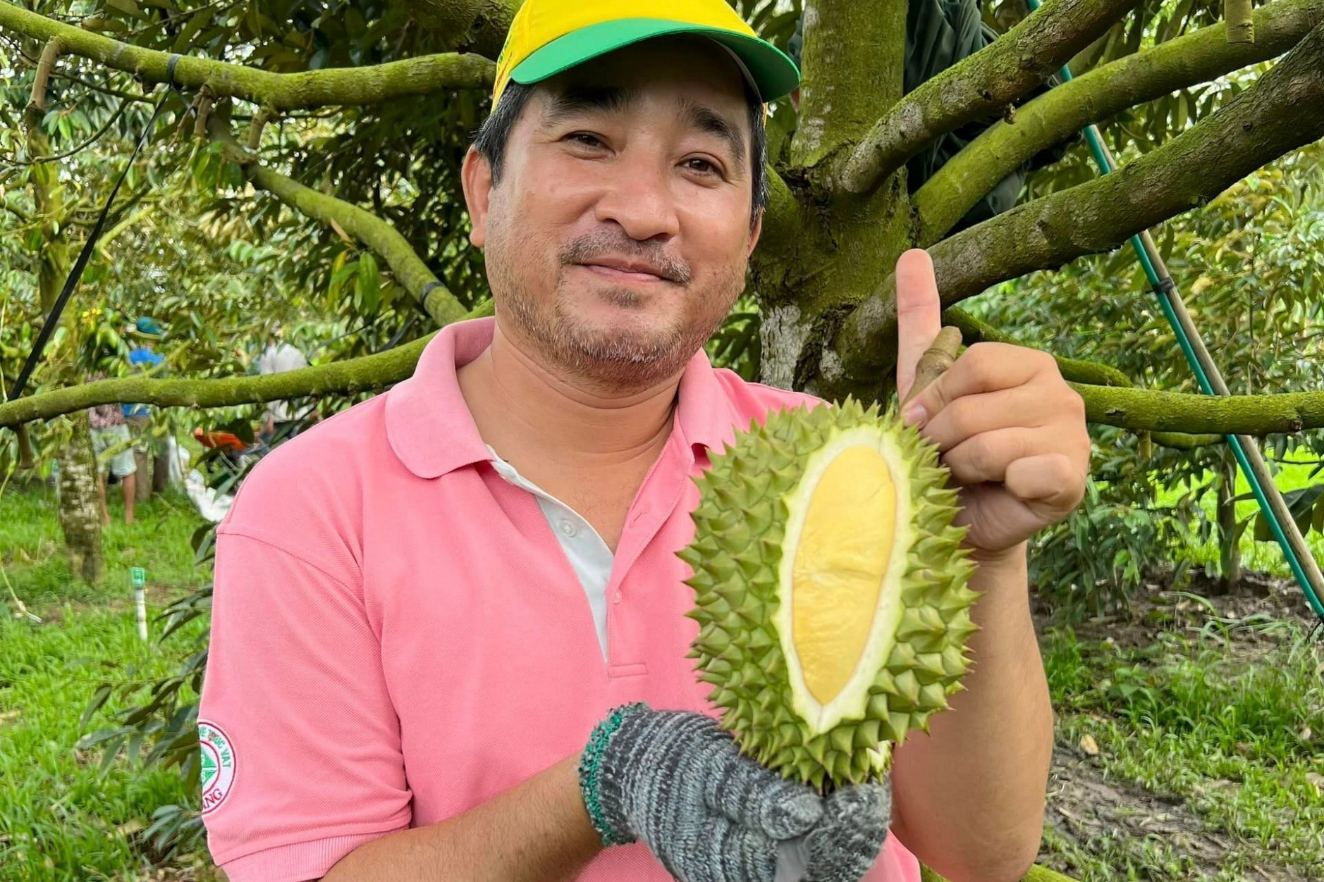 Durian exports hit record, national durian brand proposed