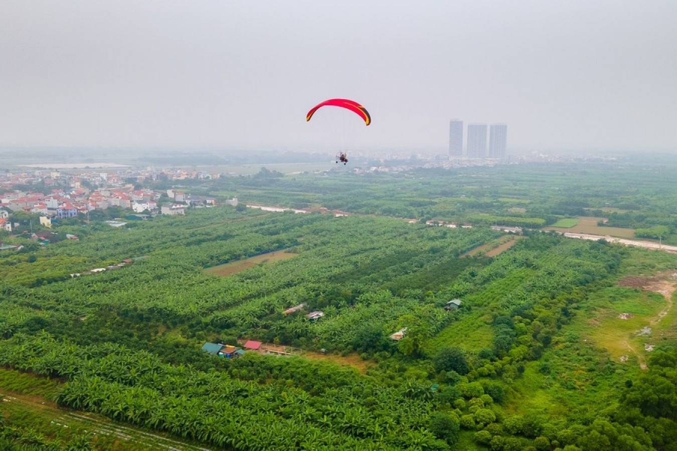 German businesses interested in Vietnam