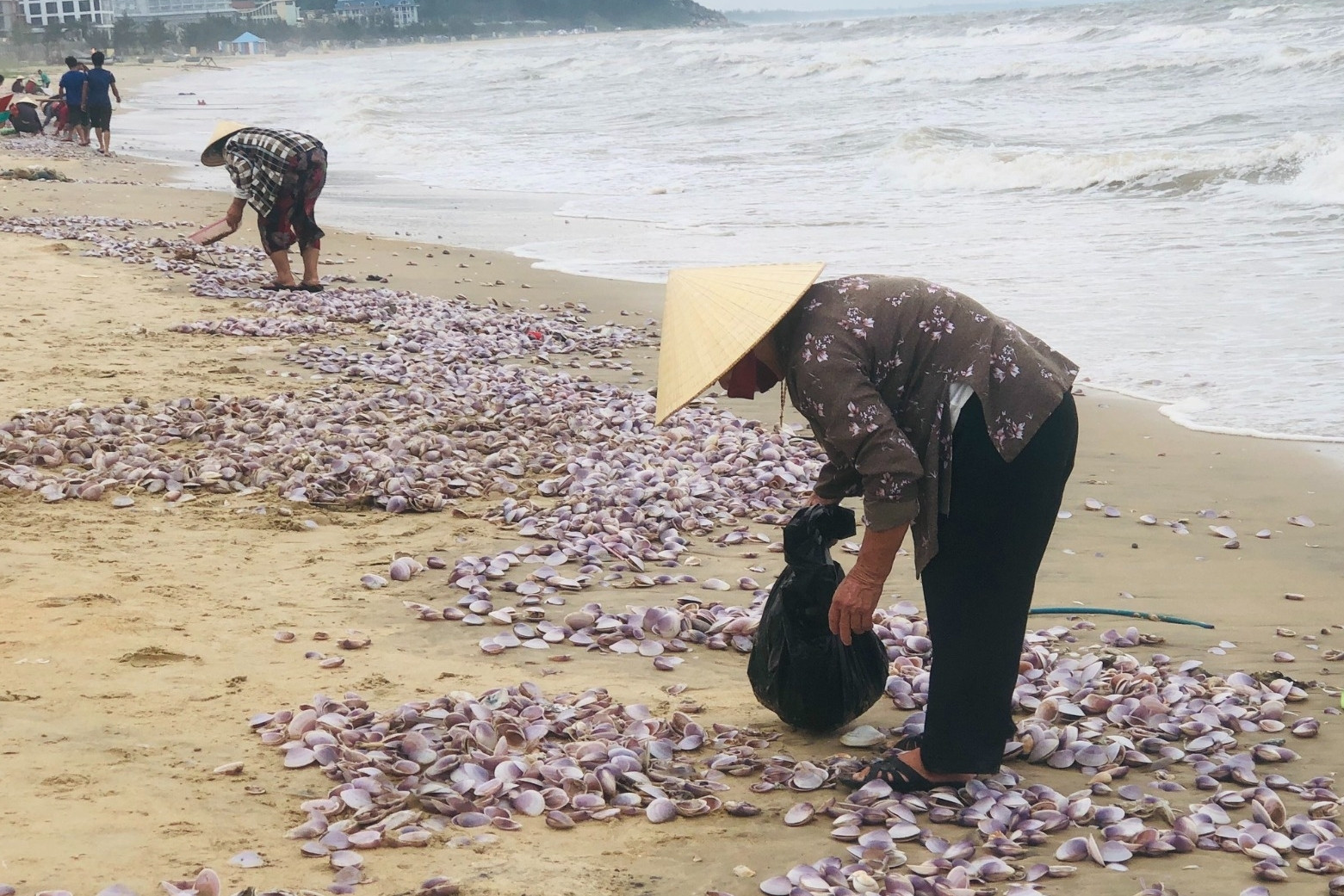 'Lộc biển' dạt vào bờ chất đống, người Hà Tĩnh đổ xô ra nhặt