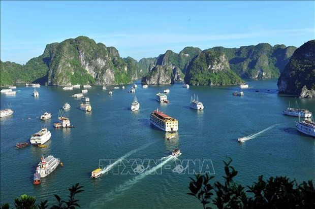 Ha Long Bay-Cat Ba Archipelago recognised as world natural heritage hinh anh 1