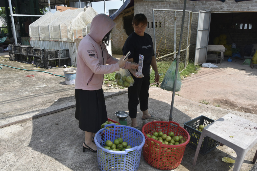 Quảng Ninh lan tỏa mô hình thôn, xã thông minh