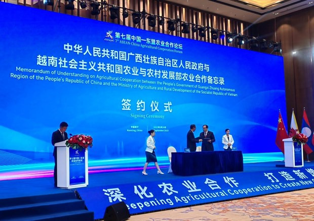 Vietnam, China’s Guangxi sign MoU on agricultural cooperation hinh anh 1