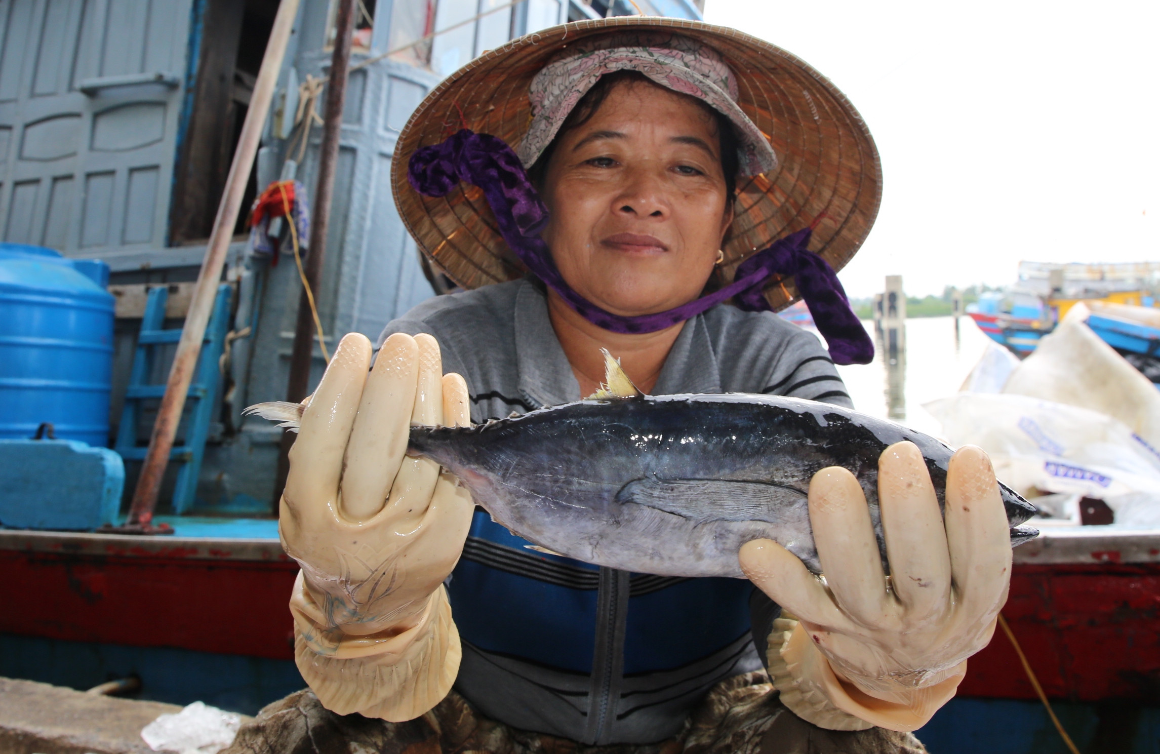 Ngư dân Quảng Ngãi ngóng chờ gỡ ‘thẻ vàng’ IUU