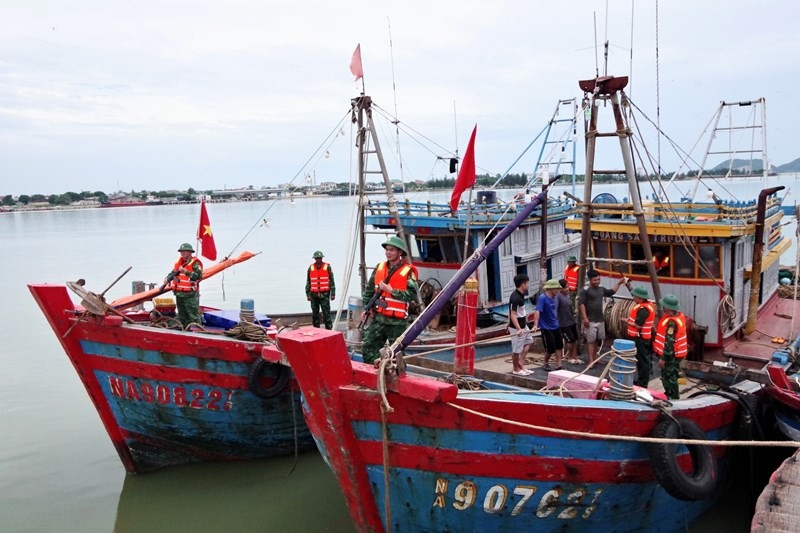 Hà Tĩnh: Bắt giữ hàng chục tàu giã cào trái phép, xử phạt trên 511 triệu đồng