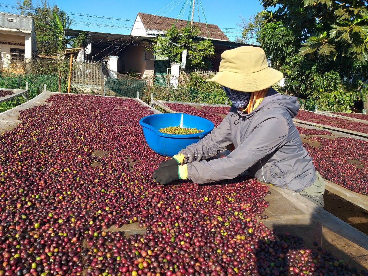 Xuất khẩu sang Anh: Chú ý nâng cao năng lực phòng vệ