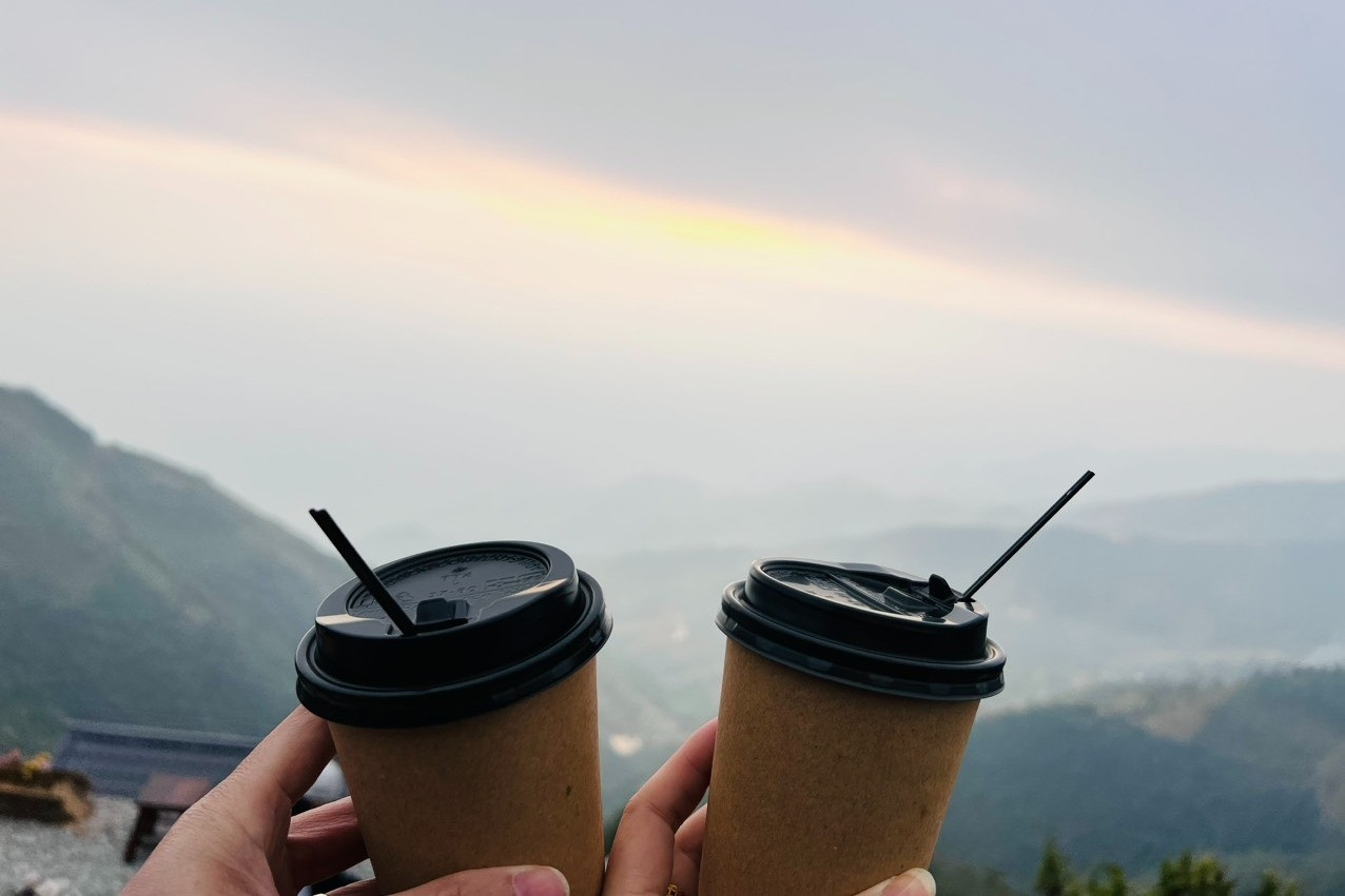 Nhà 'trà xanh' lục đục, tôi sốt sắng vun vén