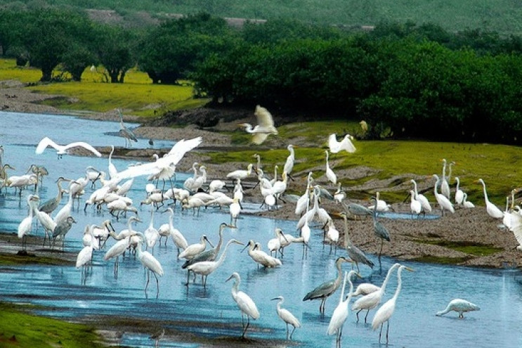 Xuan Thuy National Park seeks ASEAN heritage status