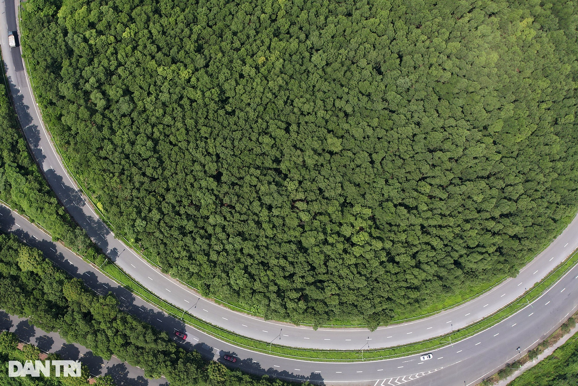 Đại lộ dài nhất Việt Nam xanh mát với rừng cây dọc tuyến - 10