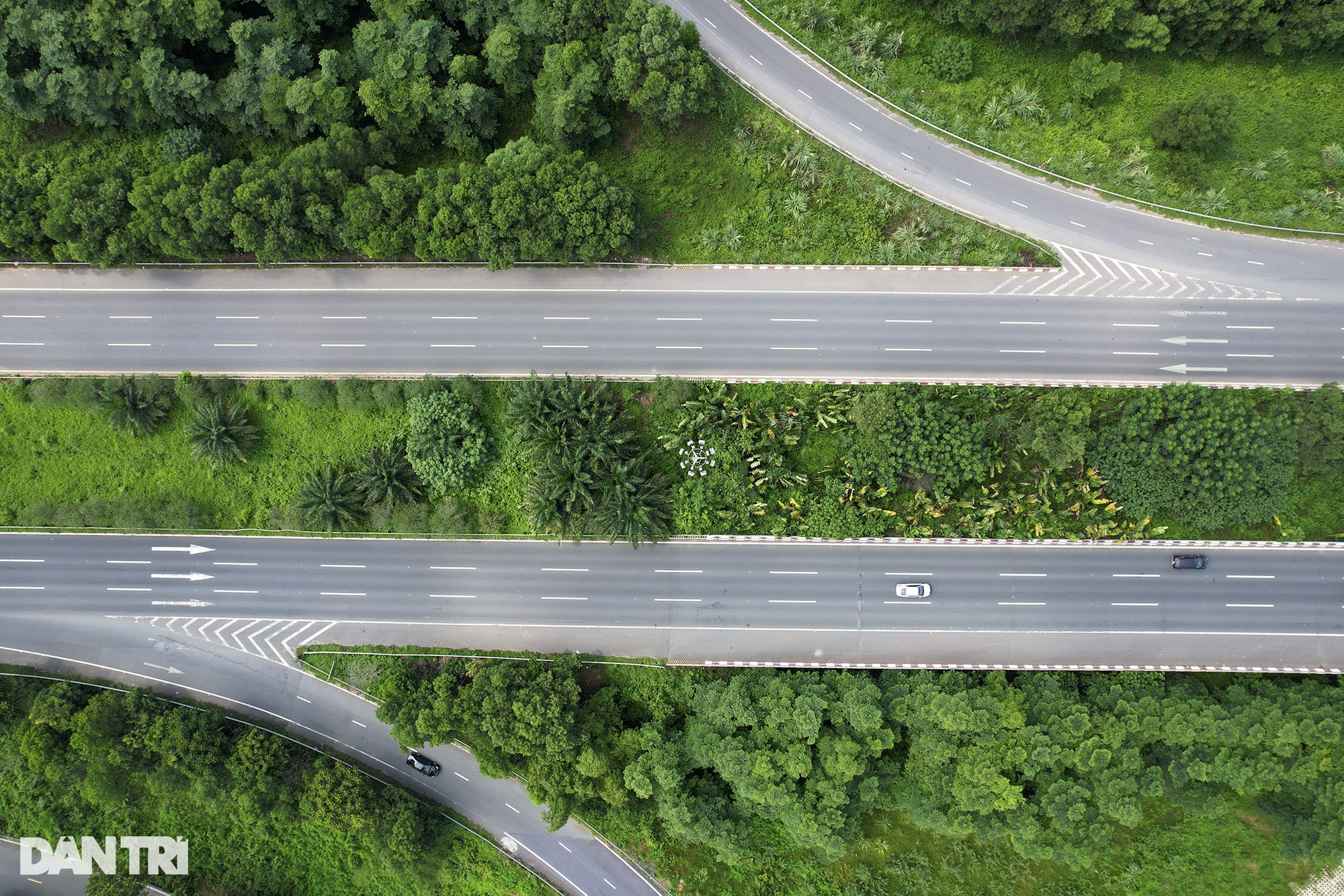 Đại lộ dài nhất Việt Nam xanh mát với rừng cây dọc tuyến - 11