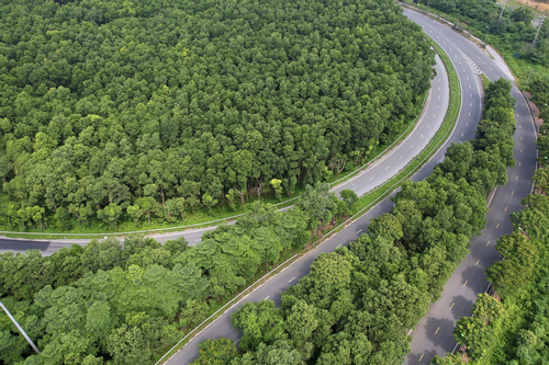 Đại lộ dài nhất Việt Nam xanh mát với rừng cây dọc tuyến