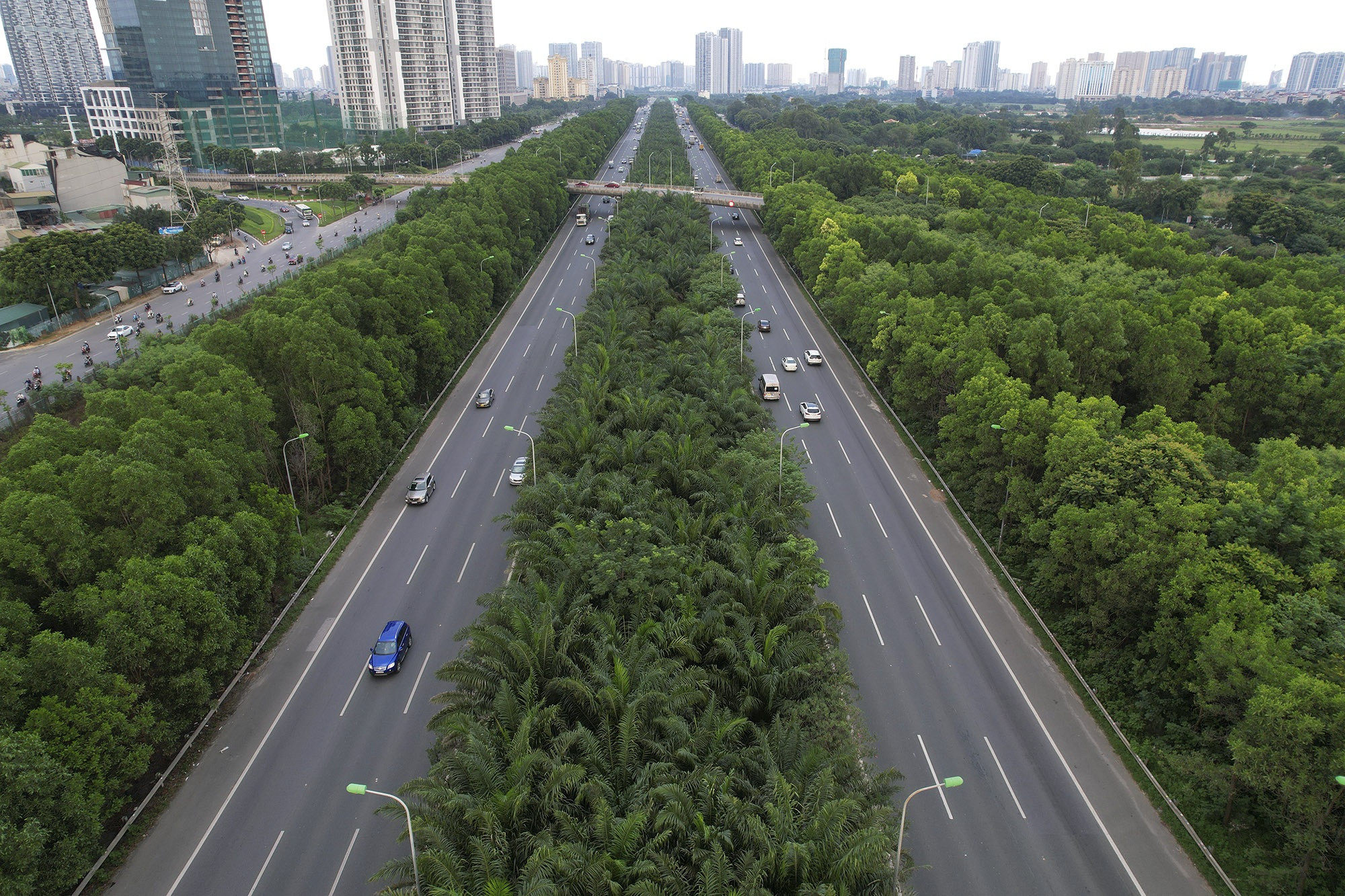 Đại lộ dài nhất Việt Nam xanh mát với rừng cây dọc tuyến - 1