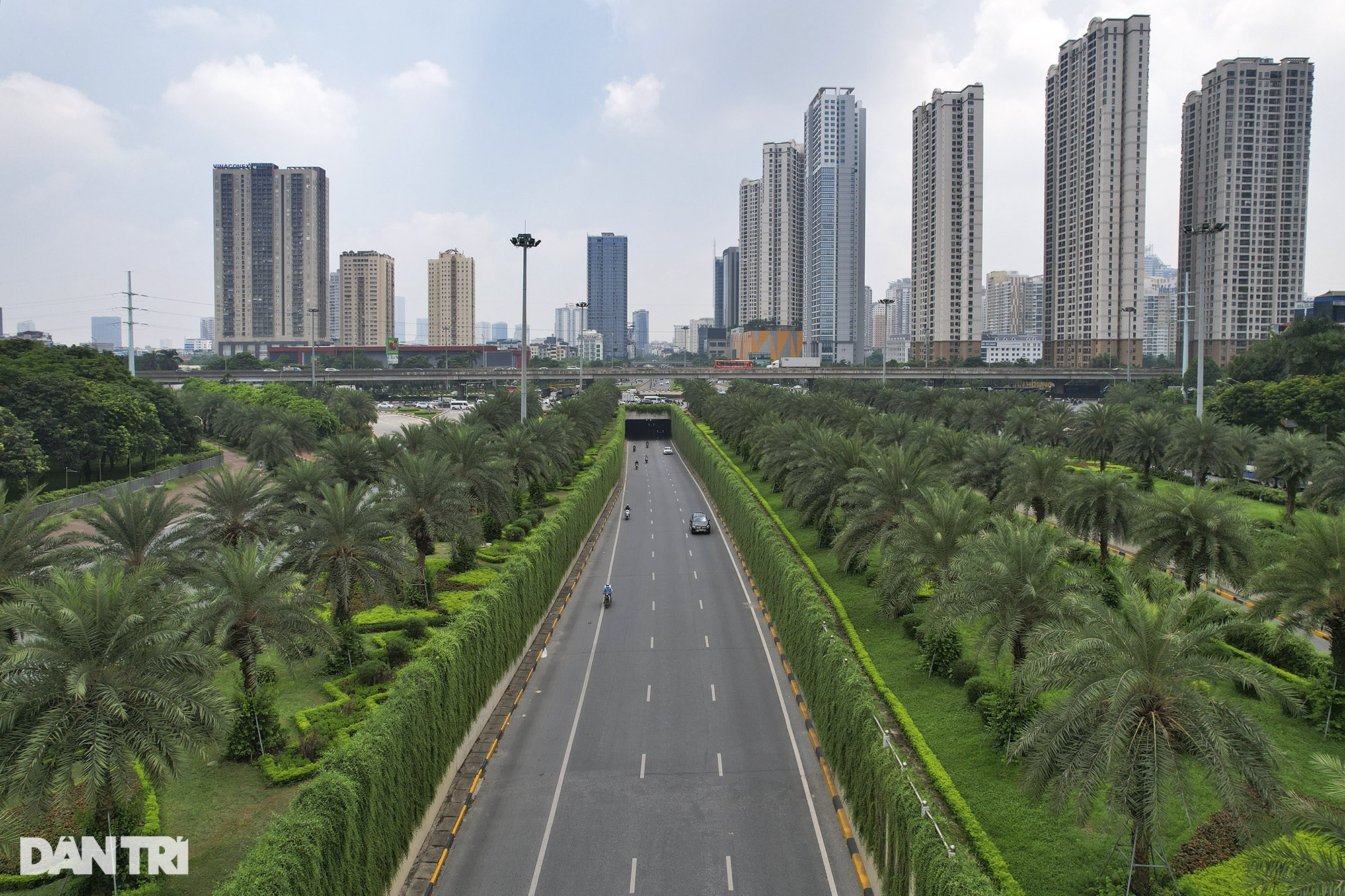 Đại lộ dài nhất Việt Nam xanh mát với rừng cây dọc tuyến - 4