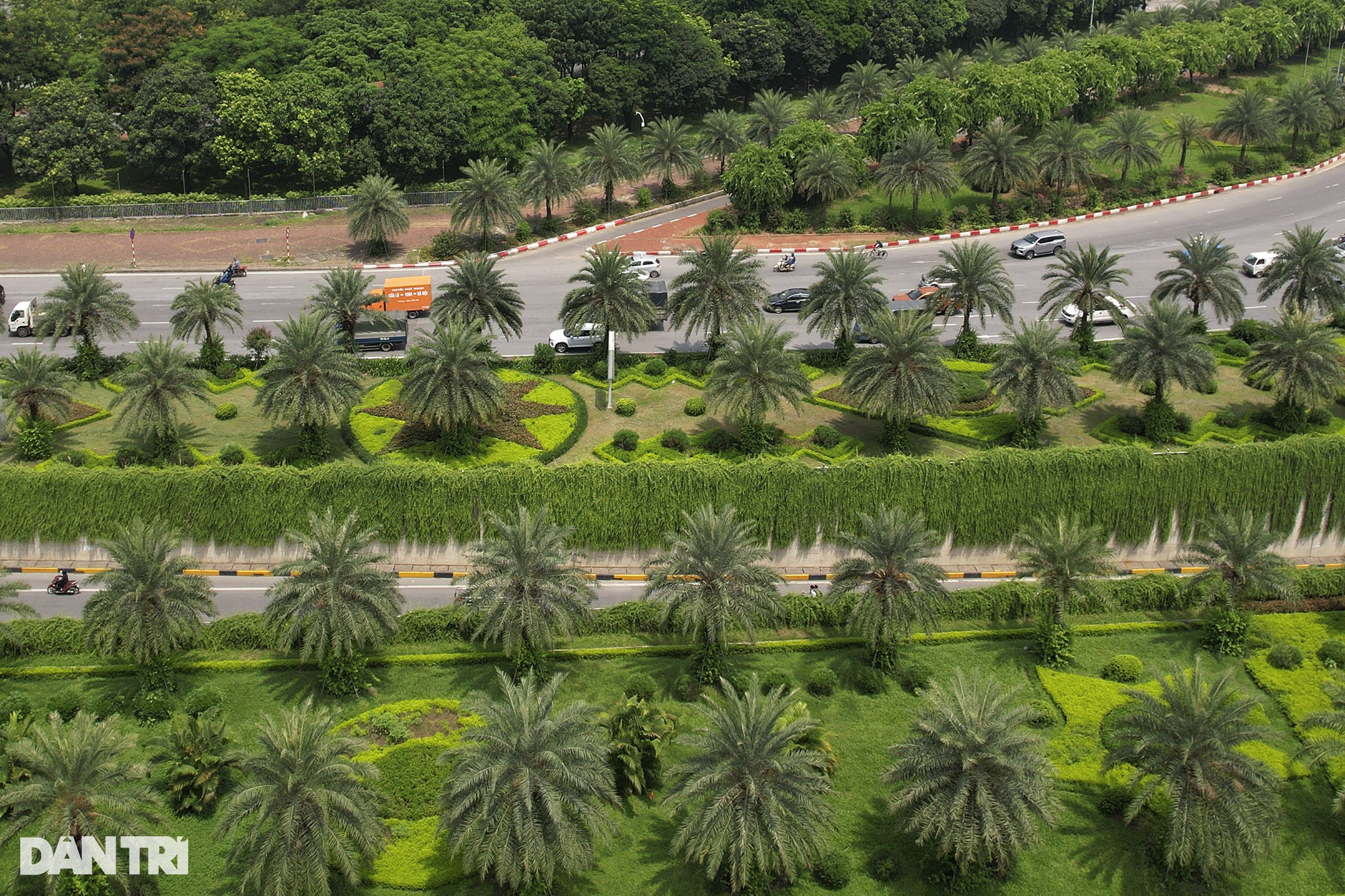Đại lộ dài nhất Việt Nam xanh mát với rừng cây dọc tuyến - 5
