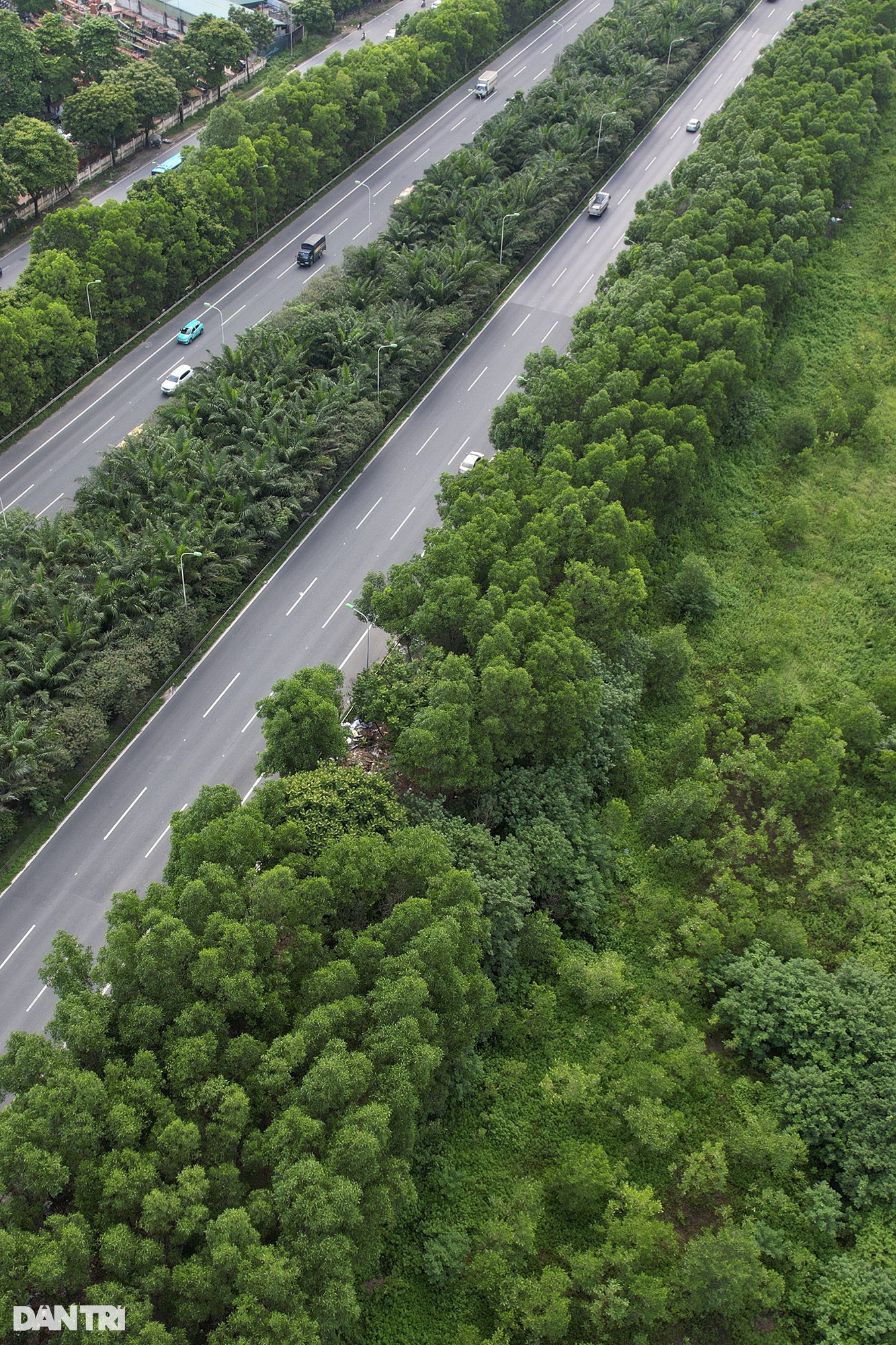 Đại lộ dài nhất Việt Nam xanh mát với rừng cây dọc tuyến - 6