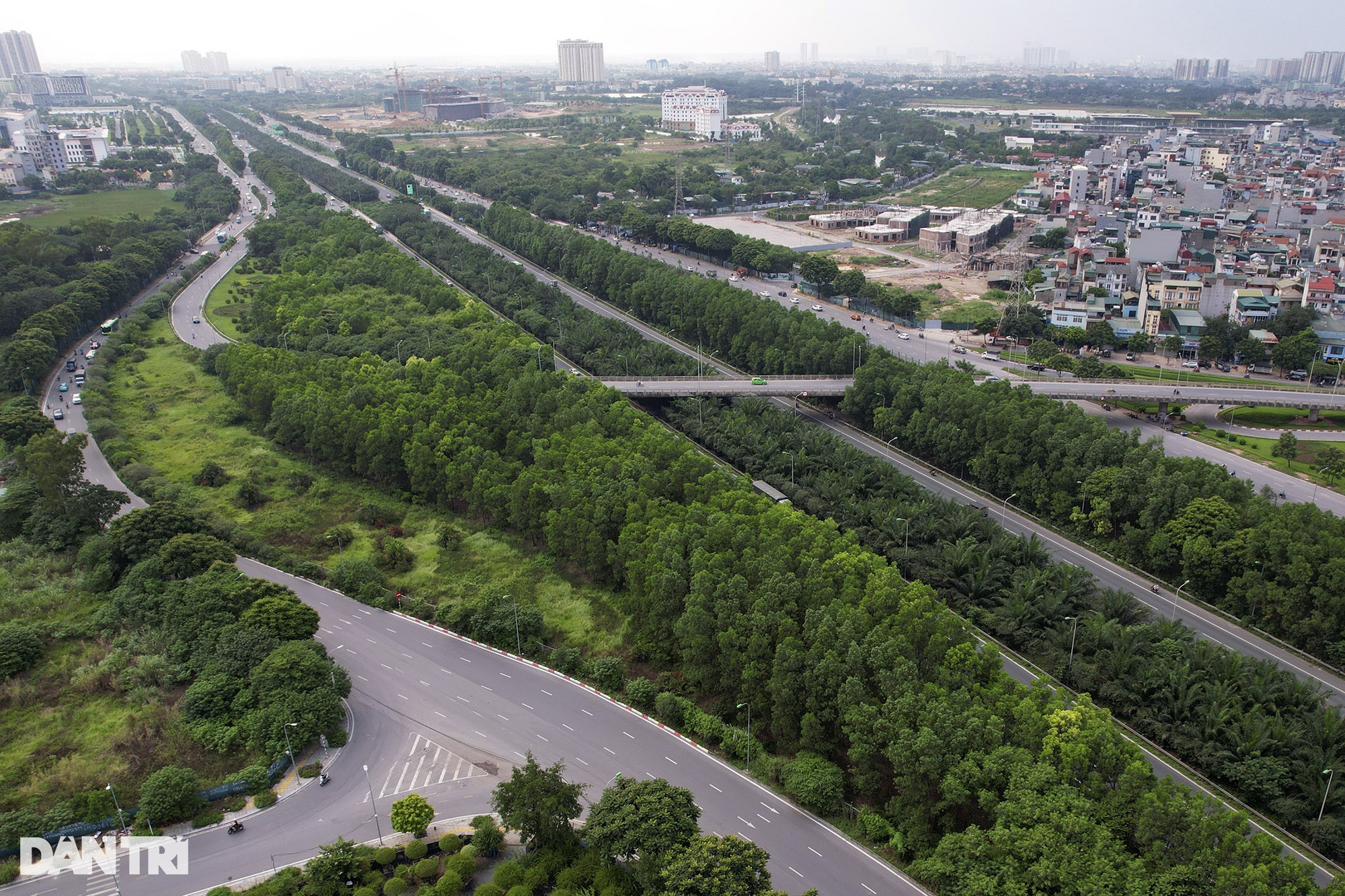 Đại lộ dài nhất Việt Nam xanh mát với rừng cây dọc tuyến - 7