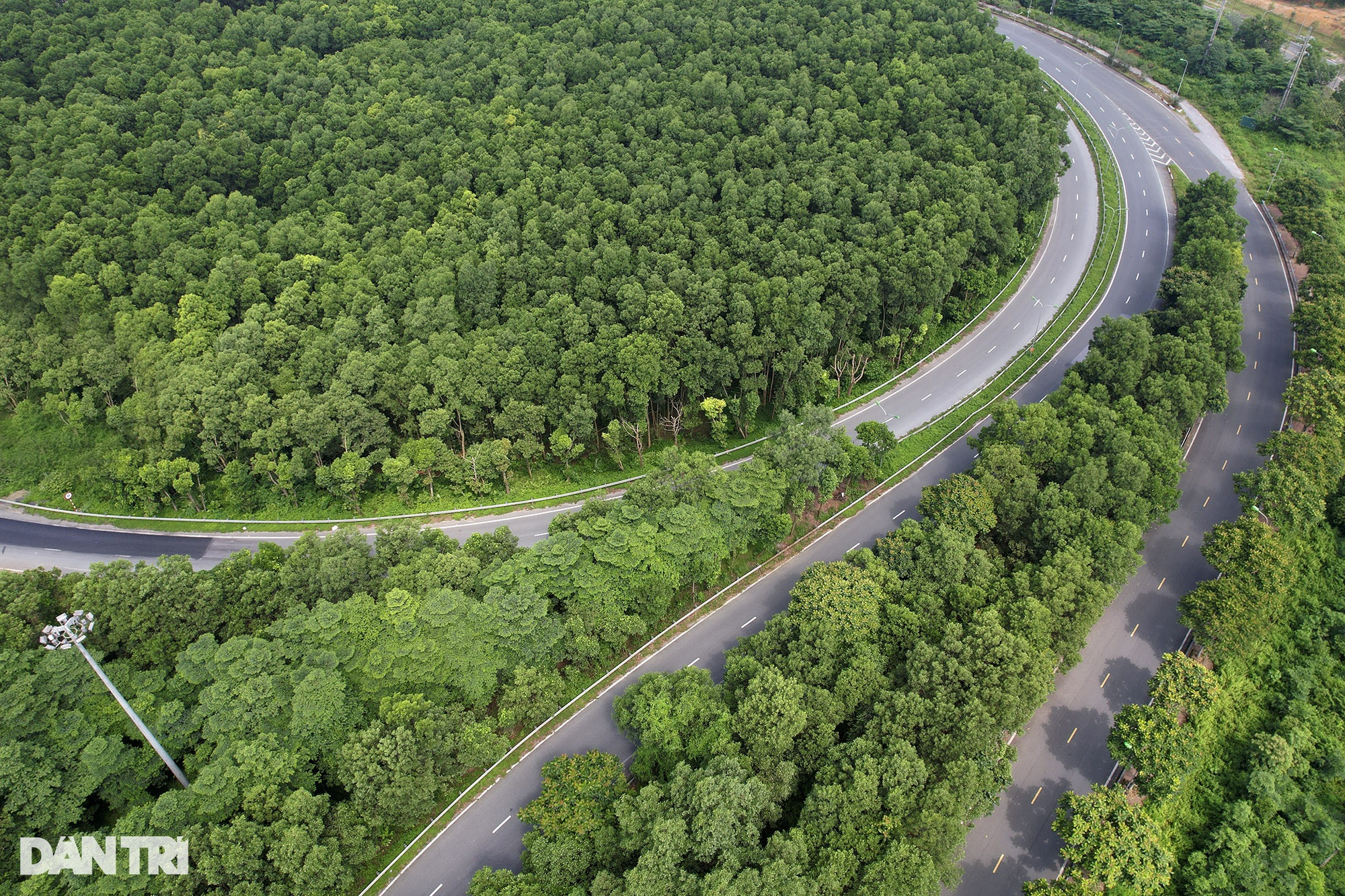 Đại lộ dài nhất Việt Nam xanh mát với rừng cây dọc tuyến - 9