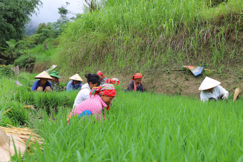 Hoàng Su Phì: Cán bộ tiên phong, nhân dân chung sức xây dựng nông thôn mới