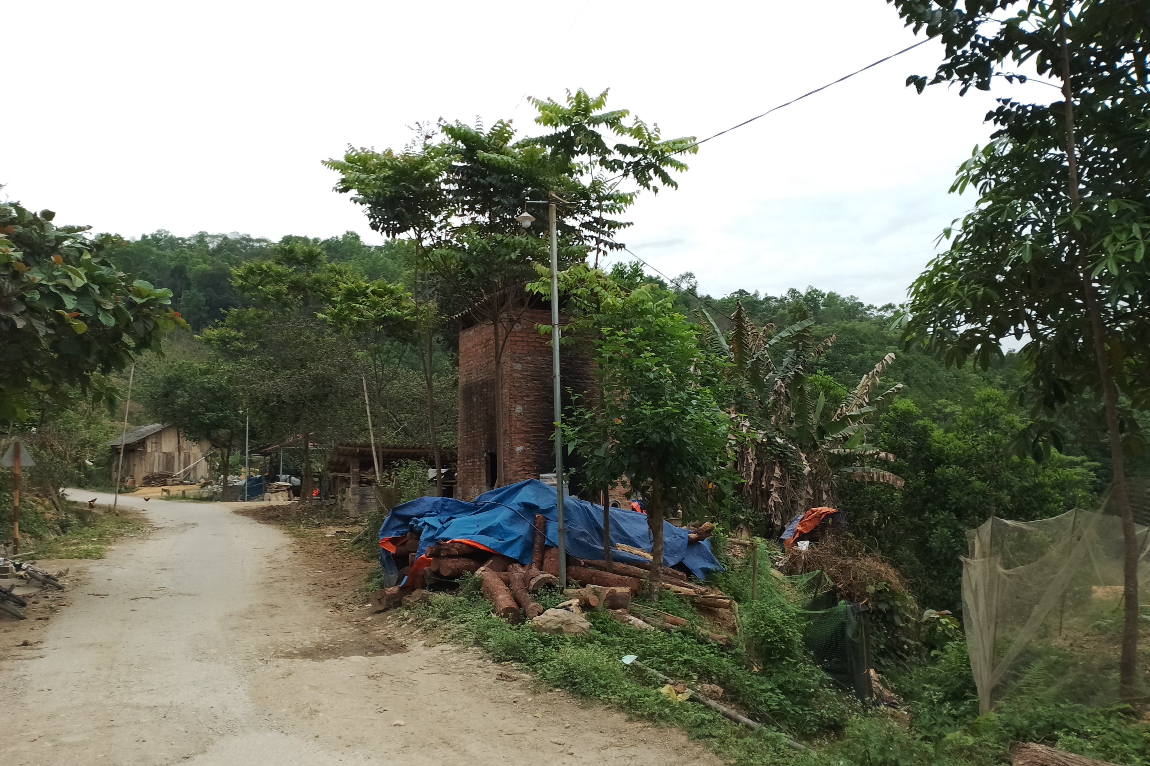 Hội Nông dân Phú Thọ tích cực tham gia phong trào nông thôn mới