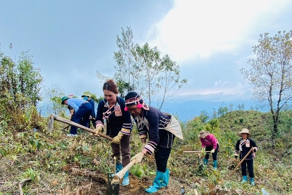 Hơn 1.300 mô hình sinh kế giúp phụ nữ dân tộc thiểu số thoát nghèo bền vững