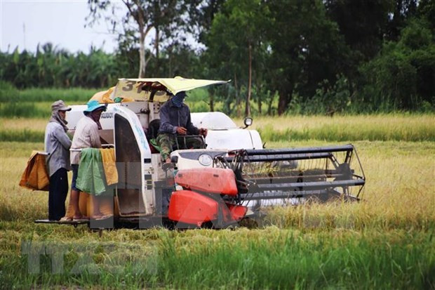 Development strategy of rural occupations and economic development approved hinh anh 1