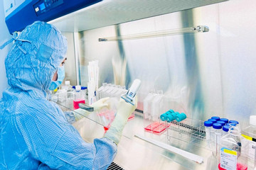 Bệnh viện đa khoa Vạn Hạnh kỷ niệm 10 năm nghiên cứu ứng dụng tế bào gốc