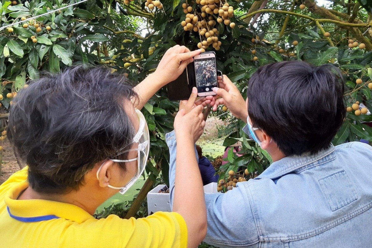 Bộ TT&TT sẽ phát hành cẩm nang 'Làng số' vào tháng 10