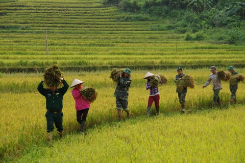BĐBP Lai Châu bám bản, bám làng xây dựng vùng biên giàu mạnh để bảo vệ Tổ quốc