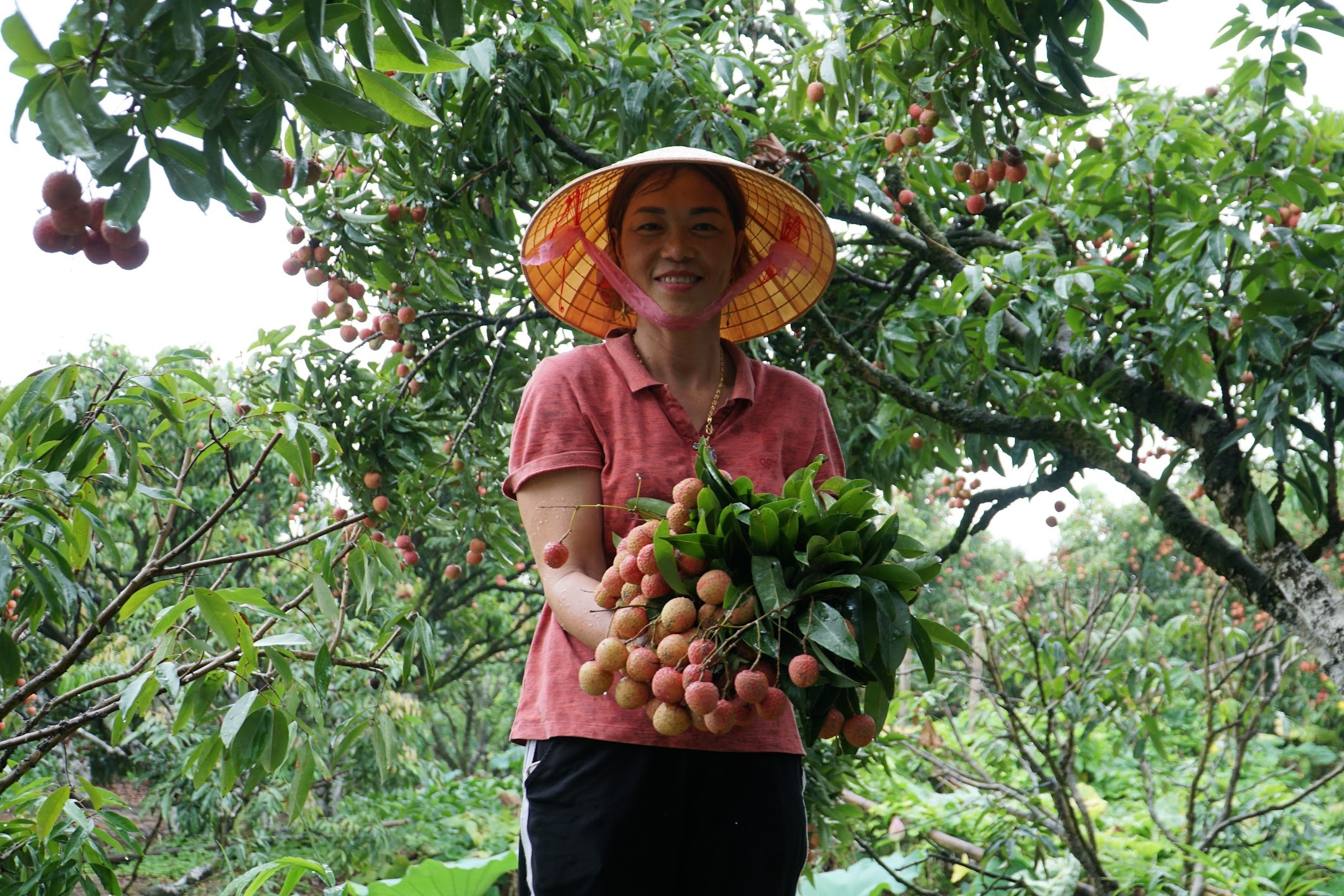 Phát triển du lịch nông thôn thành thương hiệu của Việt Nam