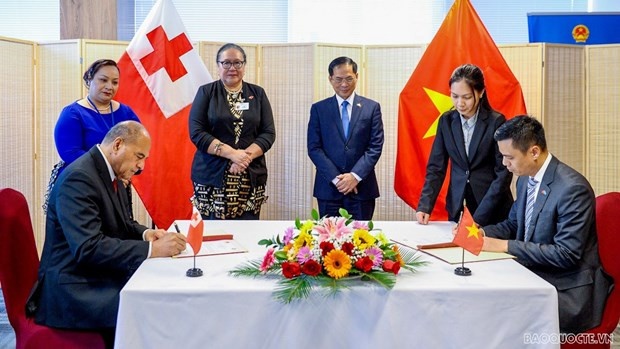 Vietnam, Tonga establish diplomatic ties hinh anh 1