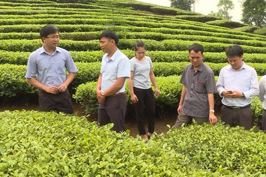Bảo Thắng khẳng định vai trò HTX trong xây dựng NTM