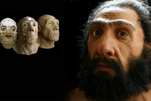 Tái tạo chân thực gương mặt loài người cổ xưa sống cách đây hàng trăm nghìn năm