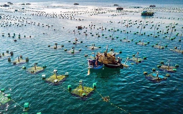 Vietnam’s aquaculture top position on world map