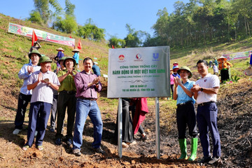 ‘Action for a Green Vietnam’ program has born its first fruit