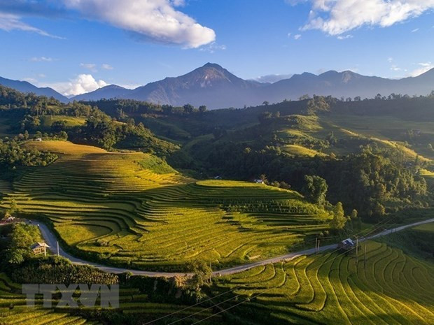 Sapa, Can Tho among most attractive autumn destinations: The Travel