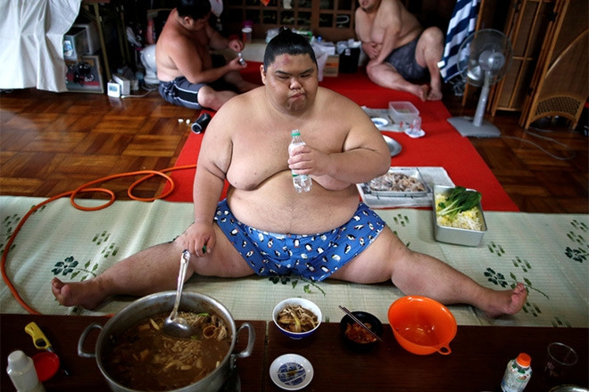 Vì sao võ sĩ Sumo nặng hàng trăm cân vẫn khỏe mạnh, không bị coi là béo phì?