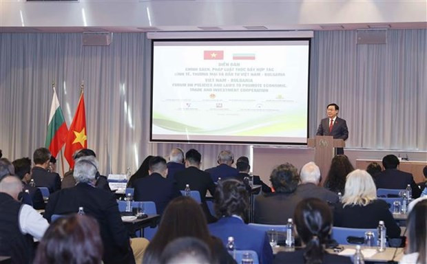 Vietnam, Bulgaria agree to revitalise traditional cooperation areas, explore new ones hinh anh 3