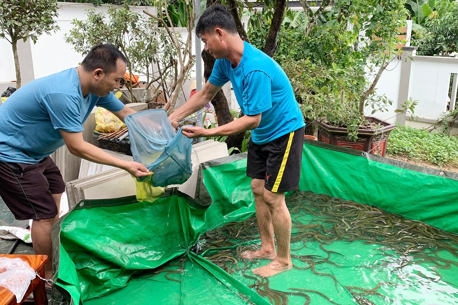 Mưa lớn gây ngập lụt ở Nghệ An, người dân chung tay 'giải cứu' trang trại lươn