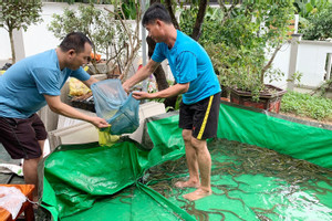 Mưa lớn gây ngập lụt ở Nghệ An, người dân chung tay 'giải cứu' trang trại lươn